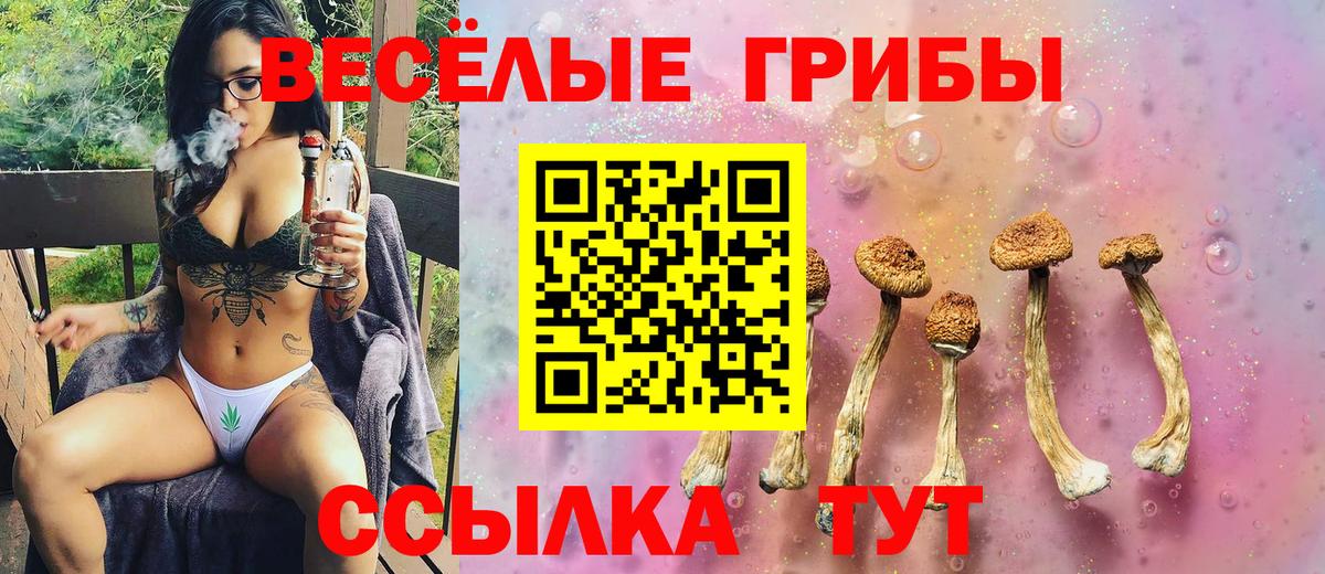 дарнет шоп  Галлюциногенные грибы GOLDEN TEACHER  Вход с VPN  Котлас 