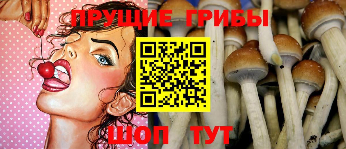Галлюциногенные грибы мицелий Котлас